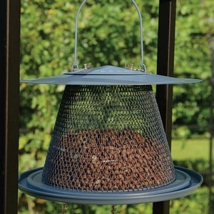 Collapsible Bird Tray Feeder - Blue Bell